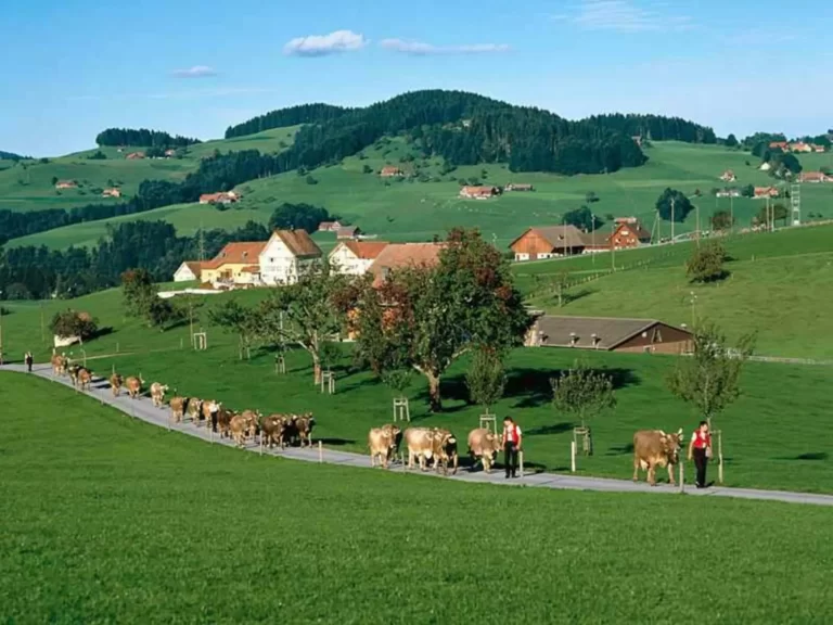 بهترین زمان سفر به سوئیس