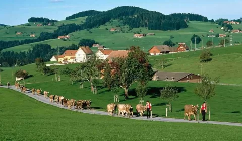 بهترین زمان سفر به سوئیس