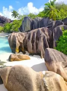 Seychelles3_72185_1723274197803